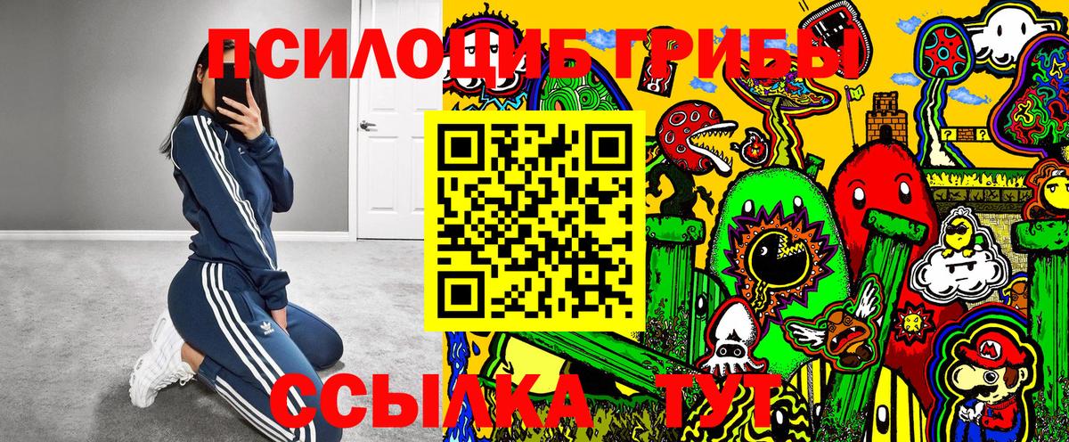 Тулун  Галлюциногенные грибы мухоморы  дарнет шоп  Вход с VPN 